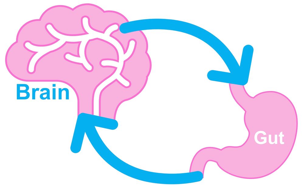 human-brain-with-eyes